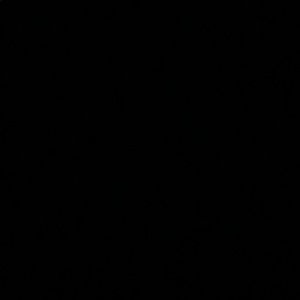 Meet your Posher, Vuong